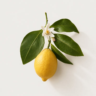 Limone vanigliato