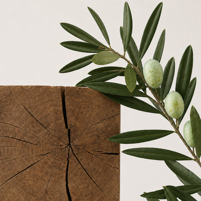 Legno d'olivo salmastro