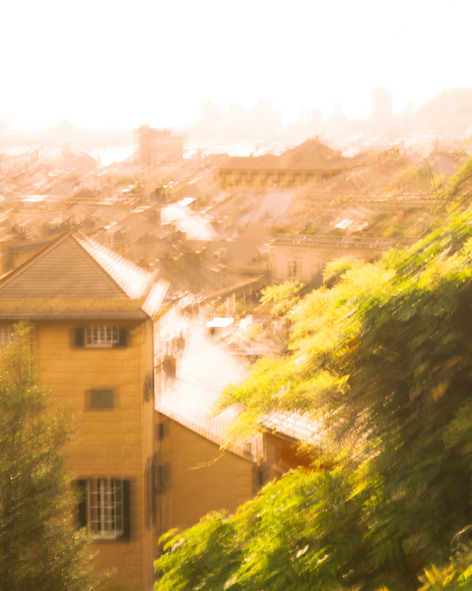 Genova skyline in July sun for Sole Sia