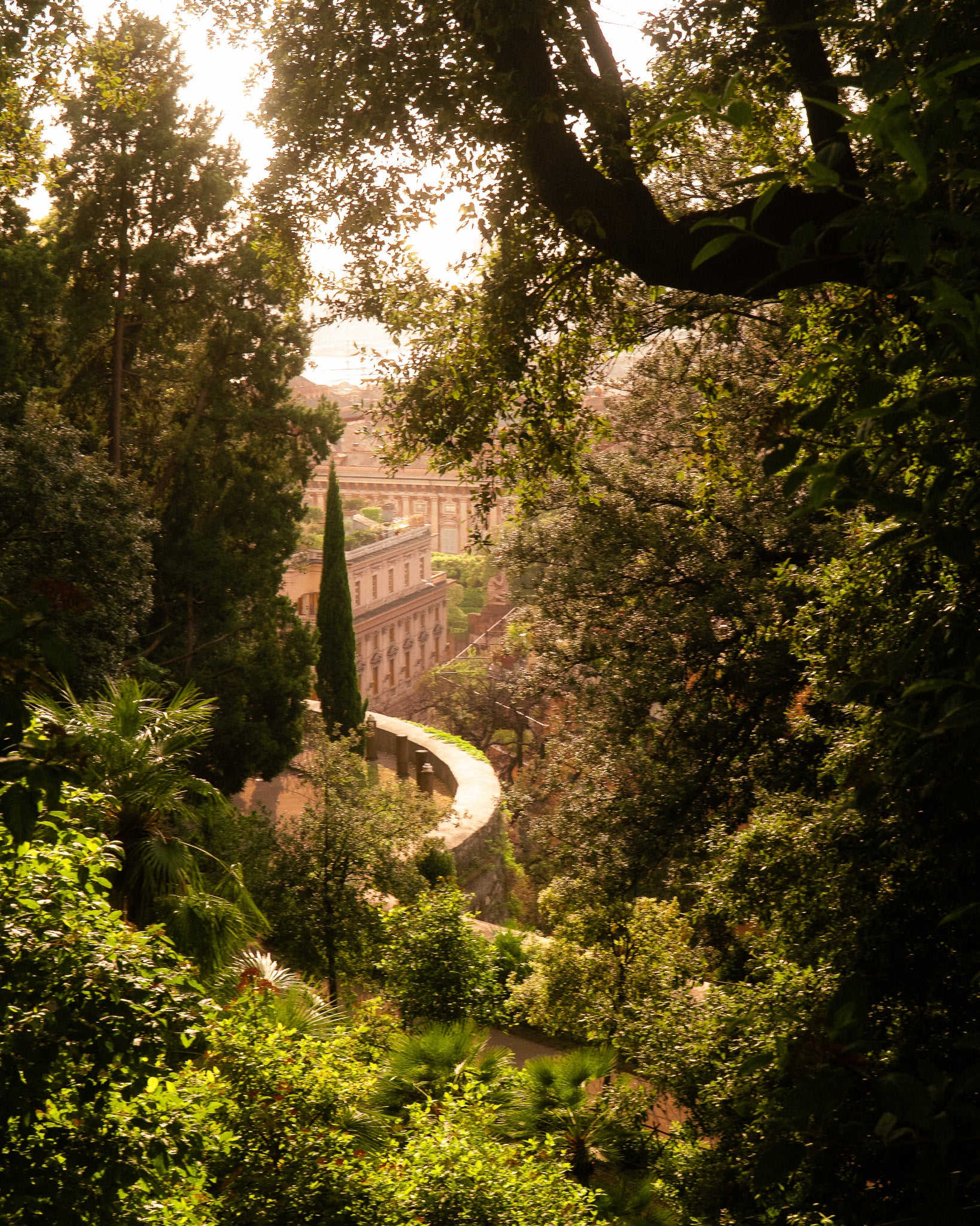 View of Genova through lush trees and vegetation from high above Villetta di Negro Park, shot by Filippo Fornasini