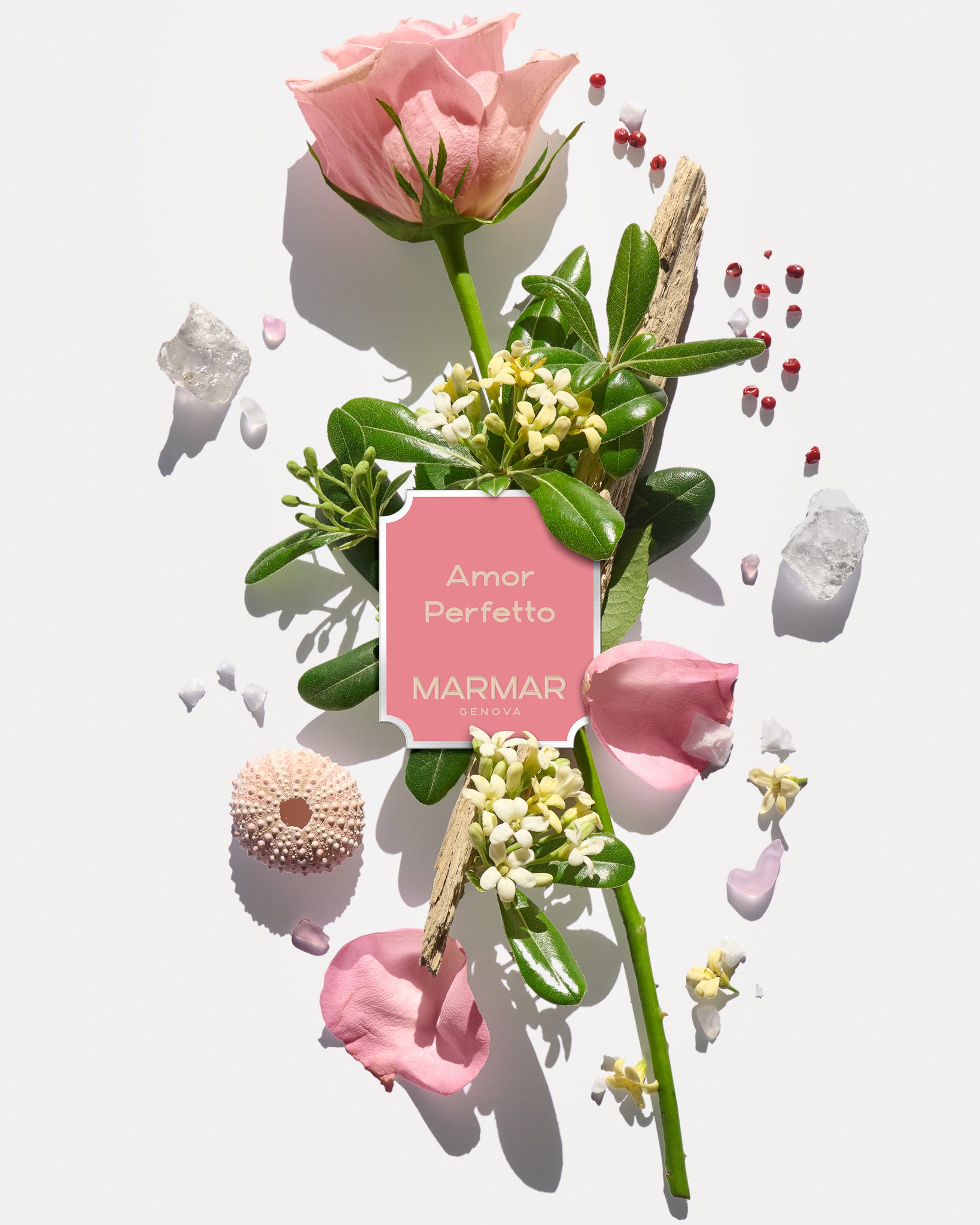 Olfactory pyramid of Amor Perfetto Eau de Parfum by MarMar Genova with ligurian ingredients like rose and pittosporum and salt shot by Filippo Fornasini