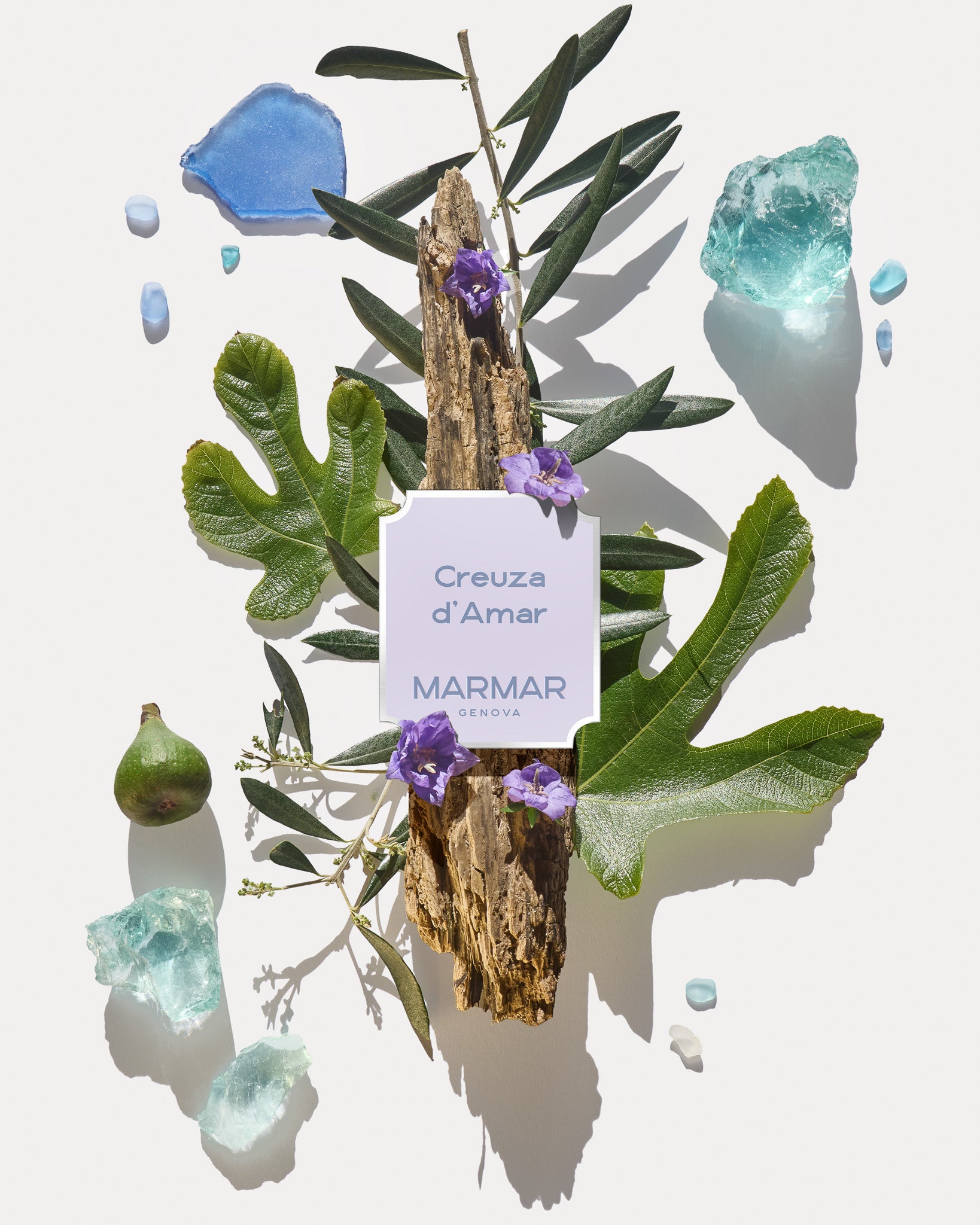 Olfactory pyramid of Creuza d'Amar Eau de Parfum by MarMar Genova with ligurian ingredients like olive wood and fig leaves shot by Filippo Fornasini
