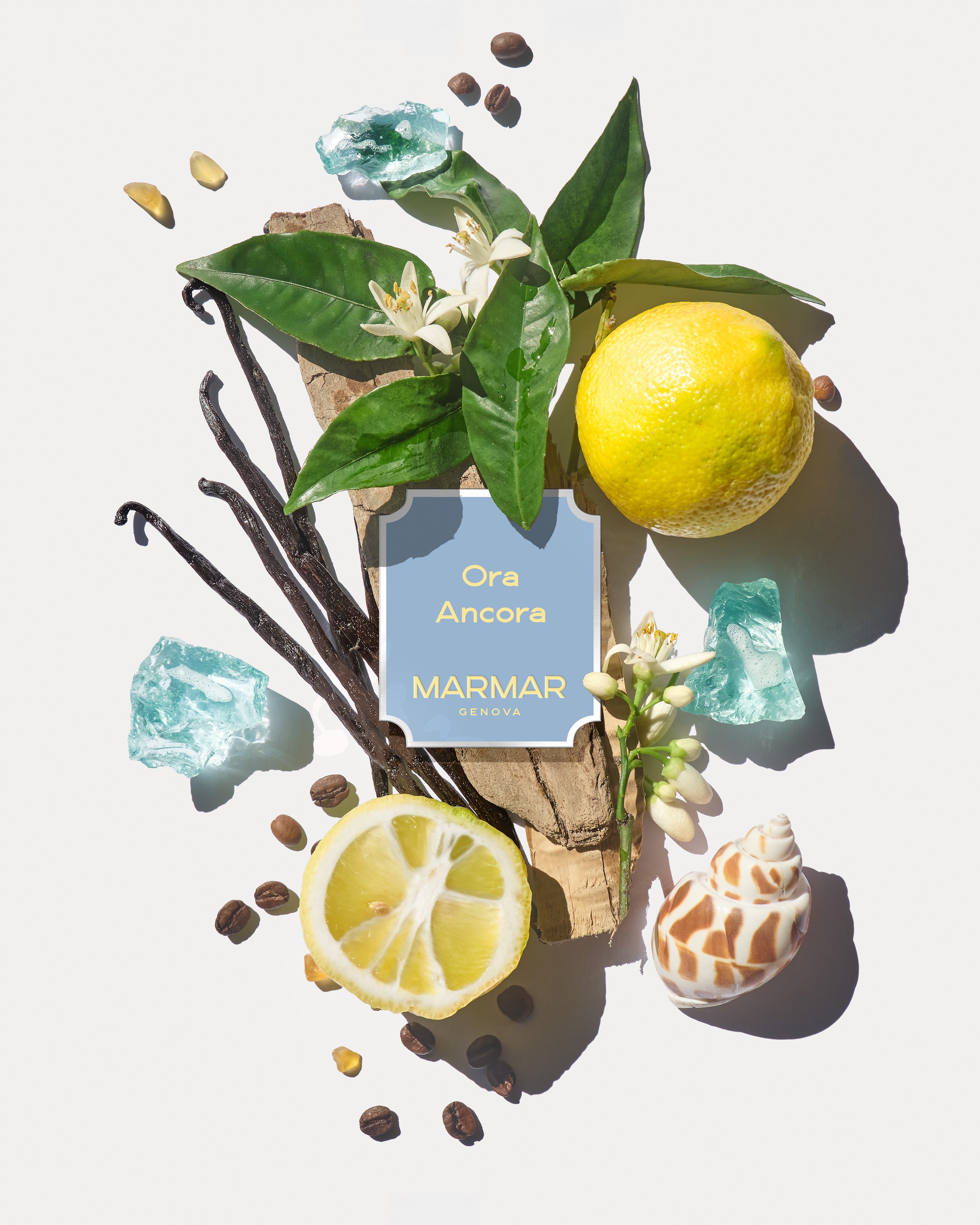Olfactory pyramid of Ora Ancora Eau de Parfum by MarMar Genova with ligurian ingredients like lemon and orange blossom and vanilla shot by Filippo Fornasini