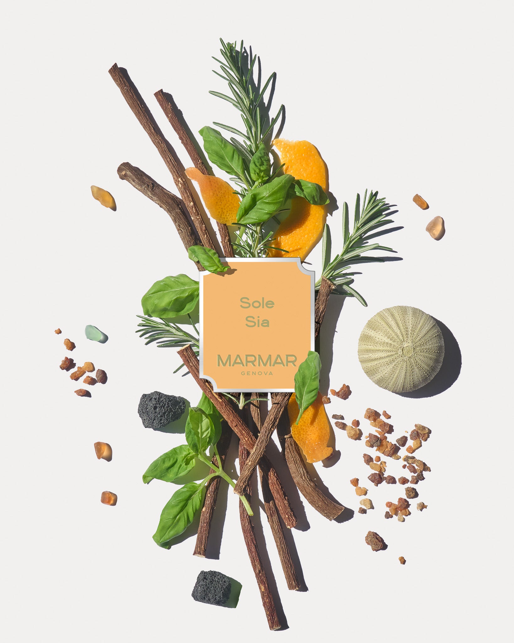 Olfactory pyramid of Sole Sia Eau de Parfum by MarMar Genova with ligurian ingredients like licorice and rosemary and basil shot by Filippo Fornasini