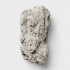 Ambra grigia